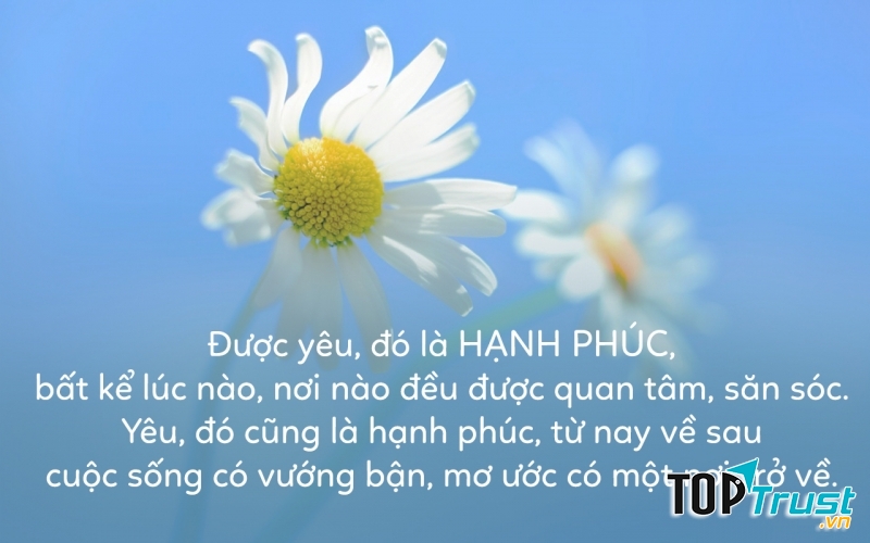 Ảnh minh họa (nguồn internet)