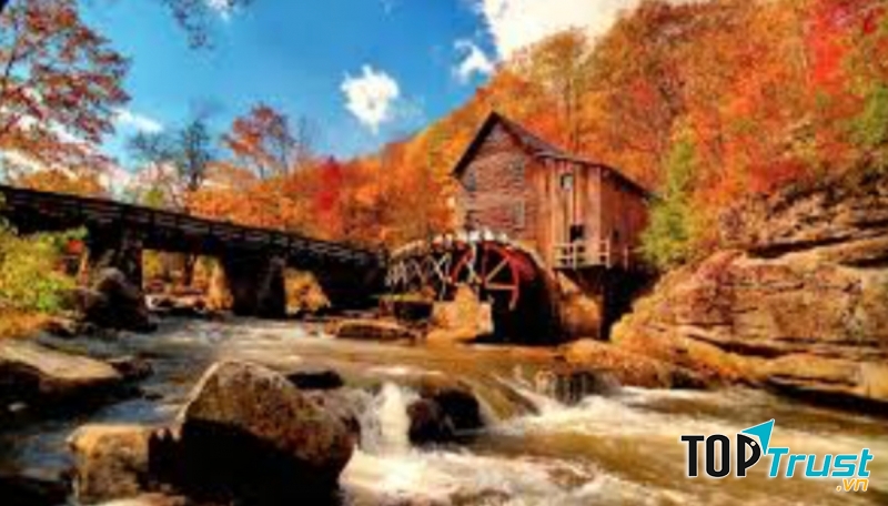 Ảnh minh họa (nguồn internet)