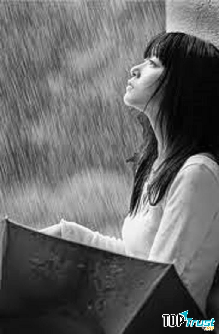 Ảnh minh họa (nguồn Internet)