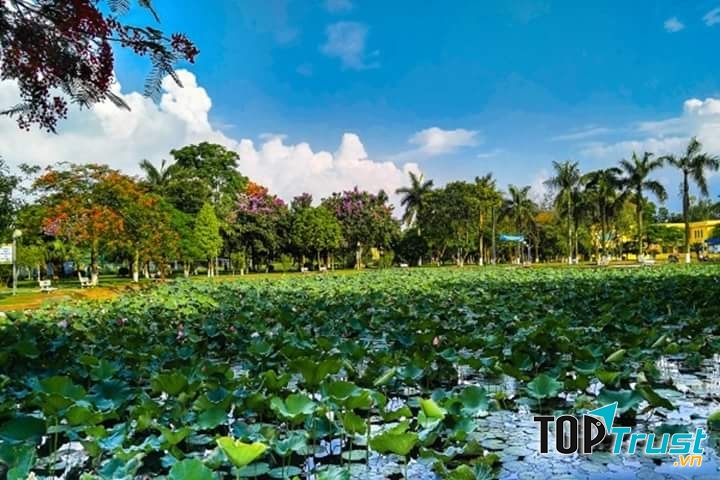 Ảnh minh họa Chu Minh Khôi