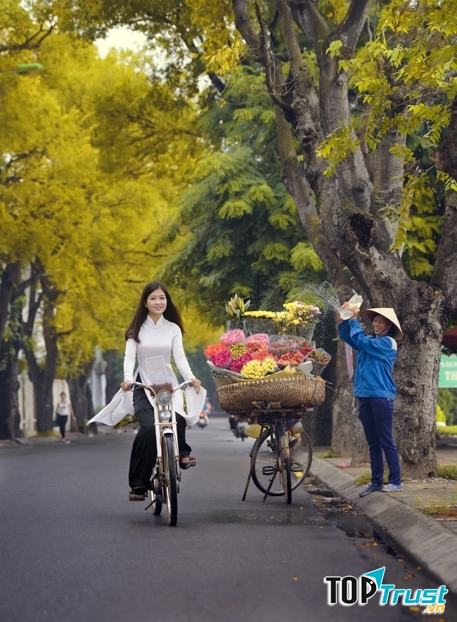 Ảnh minh họa (nguồn Internet)