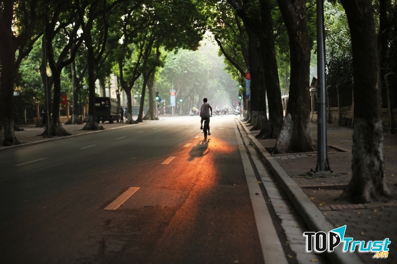 Ảnh minh họa (Nguồn internet)