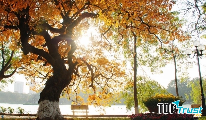 Ảnh minh họa (nguồn Internet)