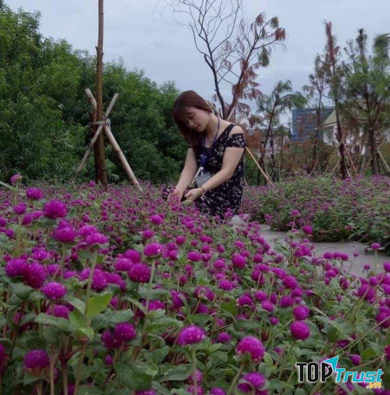 Ảnh chân dung nhà thơ Hoàng Như Phượng