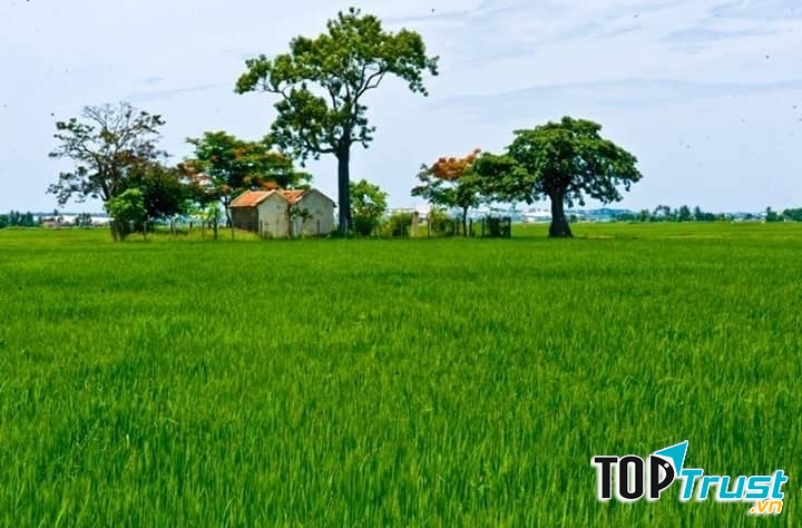 Ảnh minh họa (Nguồn internet)