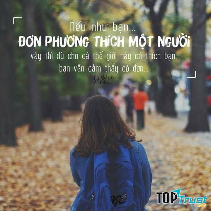 Tình Đơn Phương
