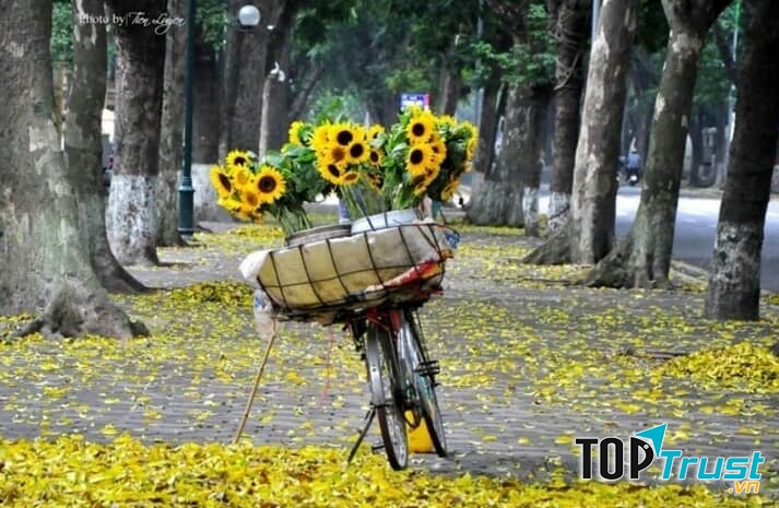 Ảnh minh họa (nguồn internet)