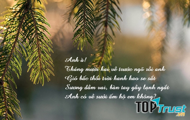 Tình Khúc Tháng Mười Hai