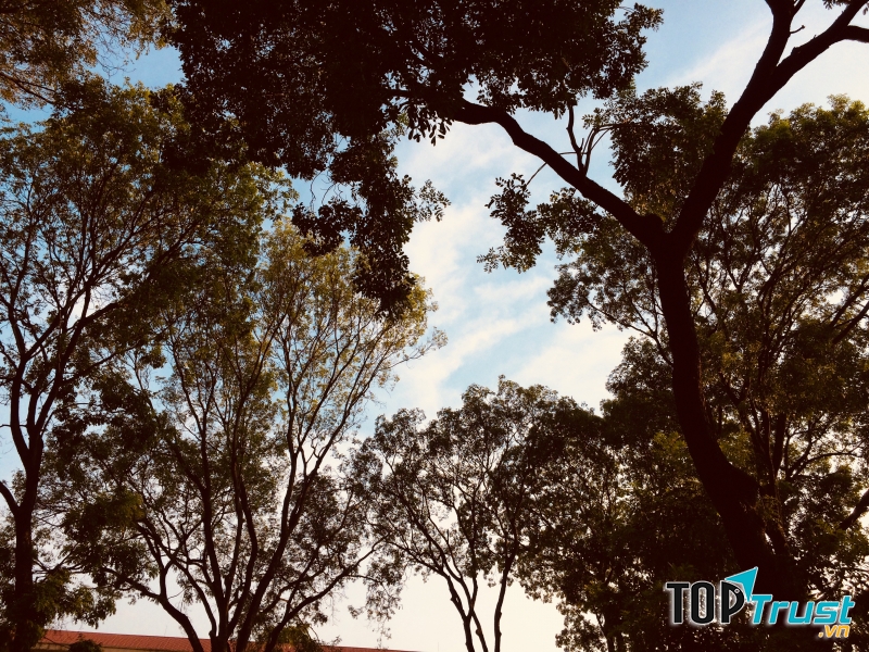 Ảnh minh họa Nguyễn Hương