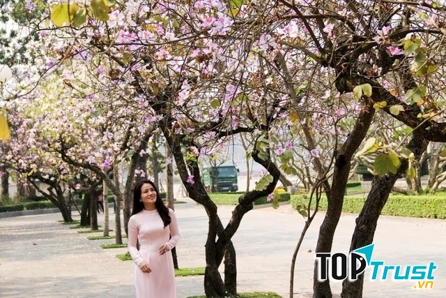 Ảnh minh họa (nguồn internet)