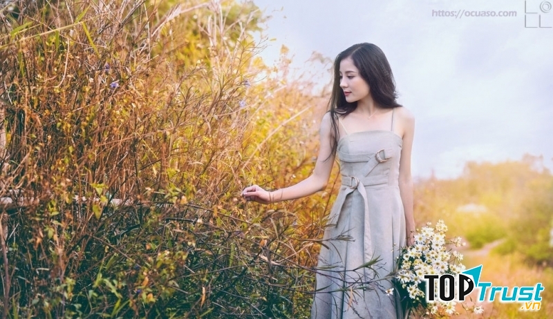 Ảnh minh họa (nguồn internet)