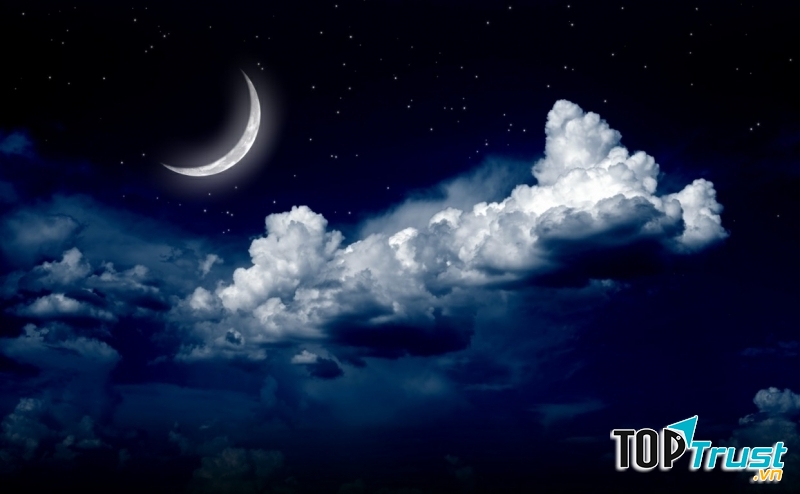 Ảnh minh họa (nguồn internet)