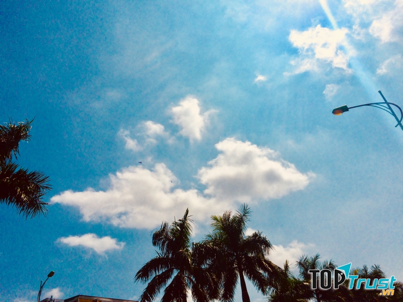 Ảnh minh họa Nguyễn Hương