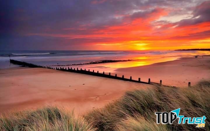 Ảnh minh họa (nguồn internet)