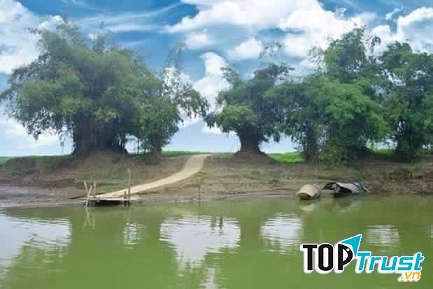 Ảnh minh họa (nguồn internet)