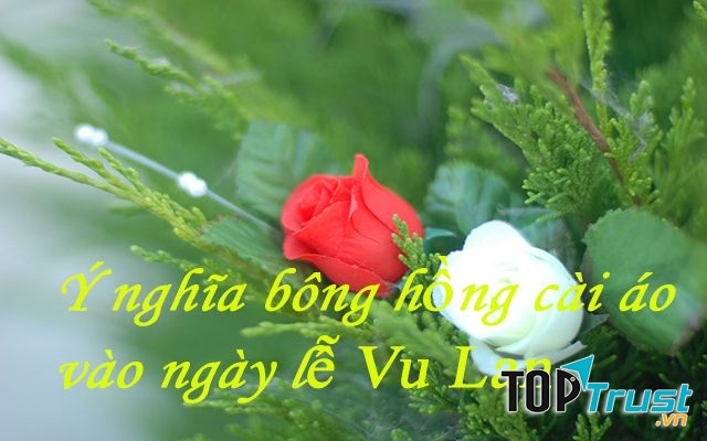 Ảnh minh họa (Nguồn internet)