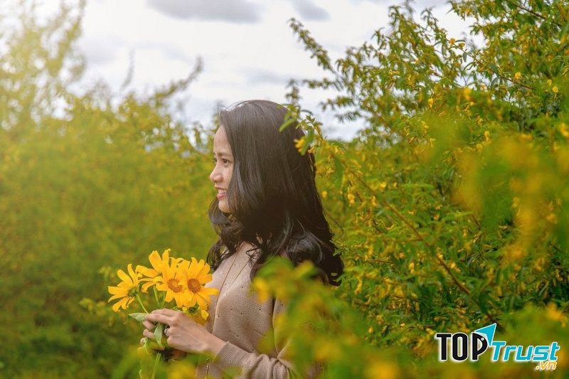 Ảnh minh họa (nguồn Internet)