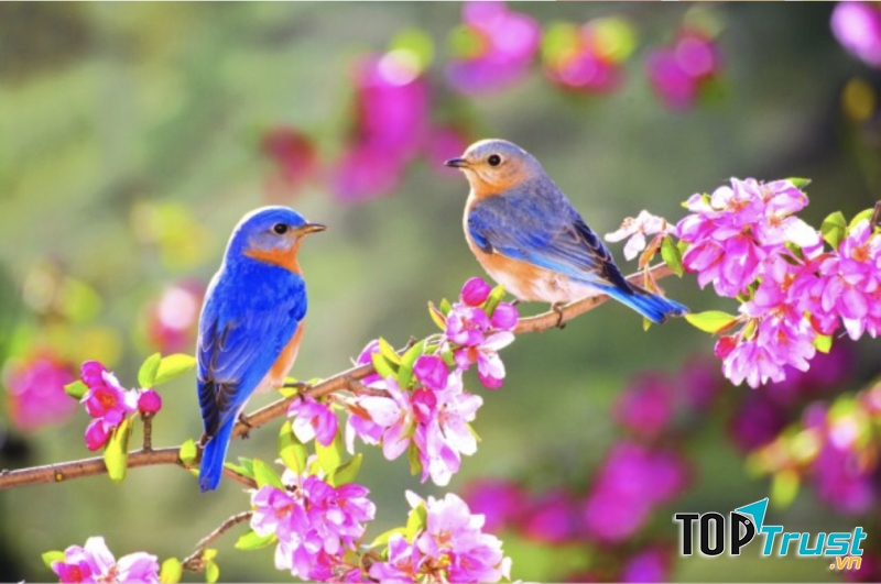 Ảnh minh họa (nguồn internet)