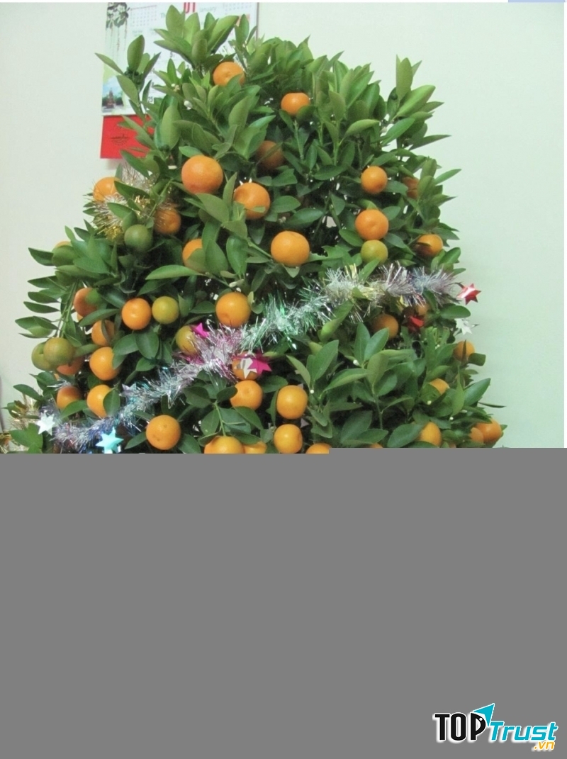 Ảnh minh họa (nguồn internet)