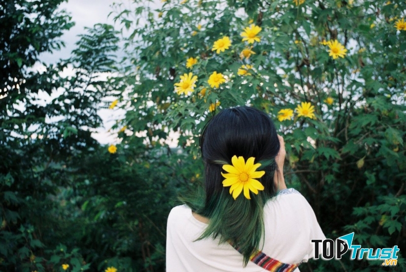 Ảnh minh họa (nguồn Internet)