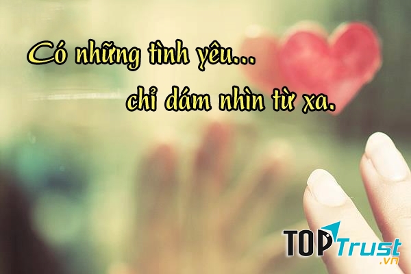 Yêu Đơn Phương Nhiều Thương Nhớ