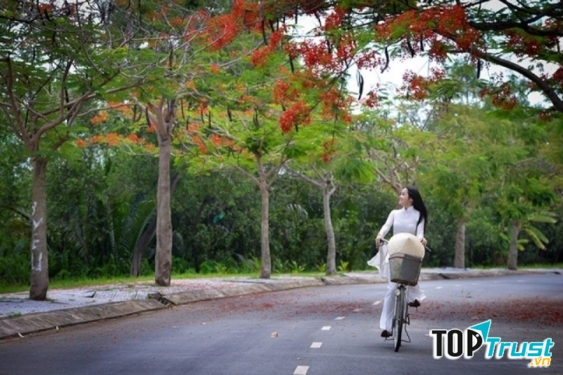 Chị gái học đại học ở xa nhà