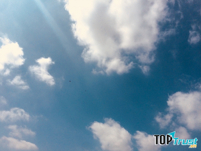 Ảnh minh họa Nguyễn Hương