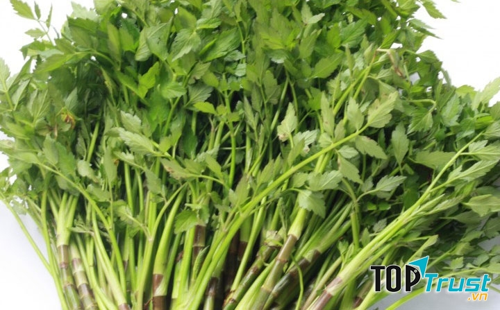 Cần nước chữa đau xương khớp