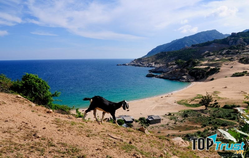 Bãi Tràng - Mũi Dinh