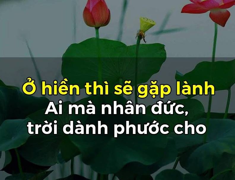 Ở hiền gặp lành
