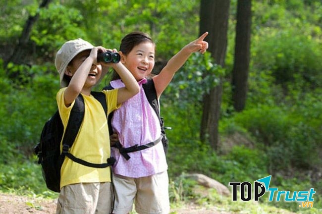 Ảnh minh họa (Nguồn internet)