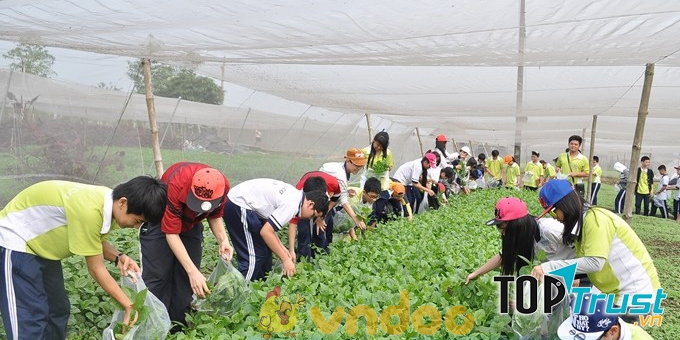 Ảnh minh họa (Nguồn internet)