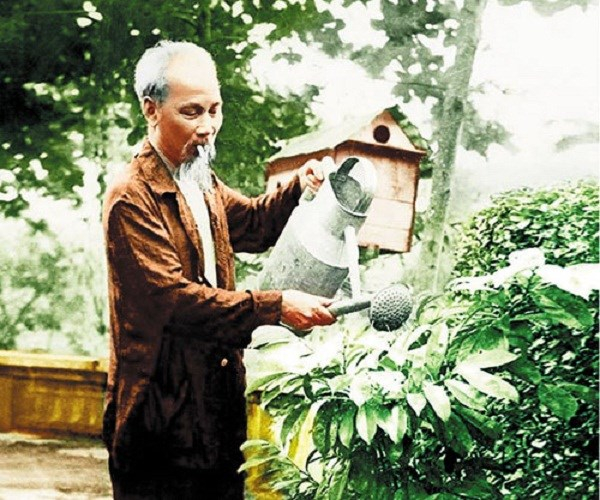 Ảnh minh họa (Nguồn internet)