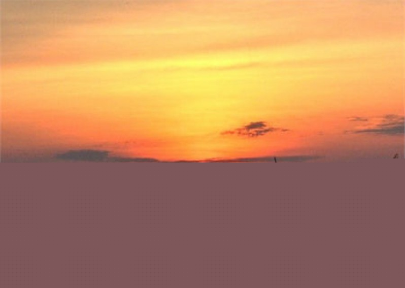 Ảnh minh họa (Nguồn internet)