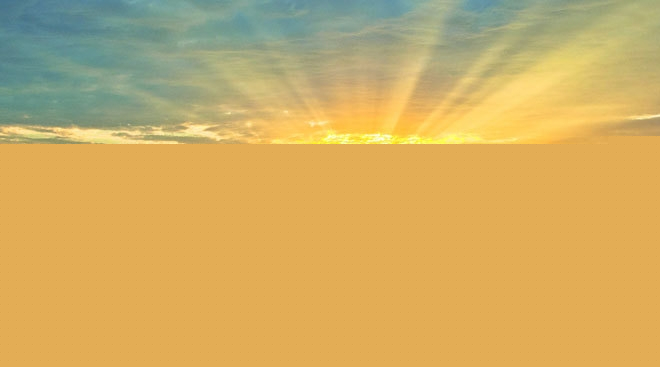 Ảnh minh họa (Nguồn internet)