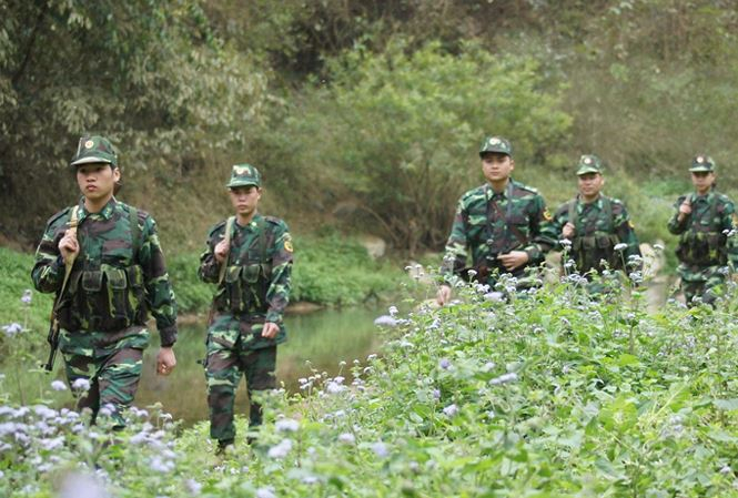 Ảnh minh họa (Nguồn internet)