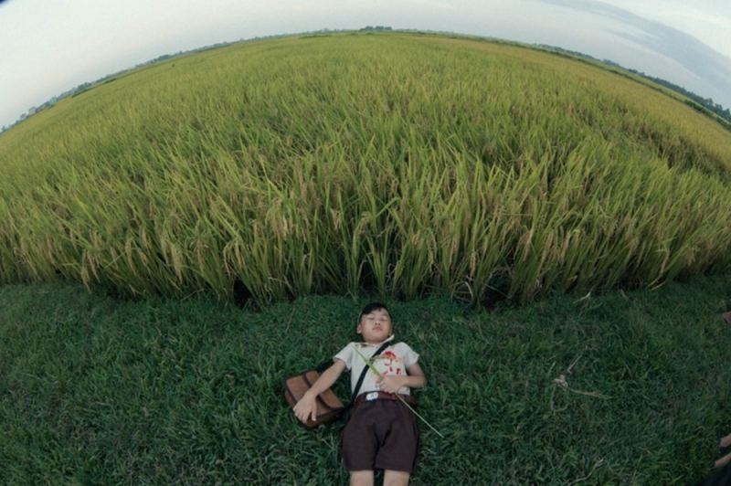 Ảnh minh họa (Nguồn internet)