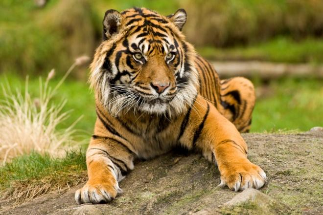 Ảnh minh họa (Nguồn internet)