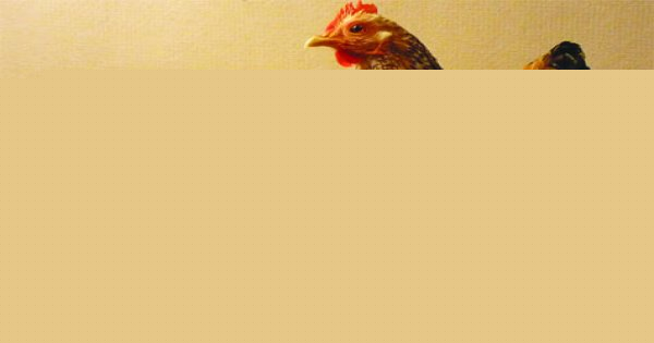 Ảnh minh họa (Nguồn internet)