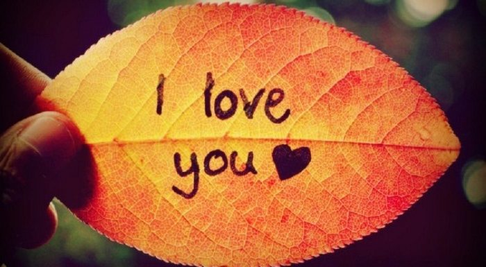 Ảnh minh họa (Nguồn internet)