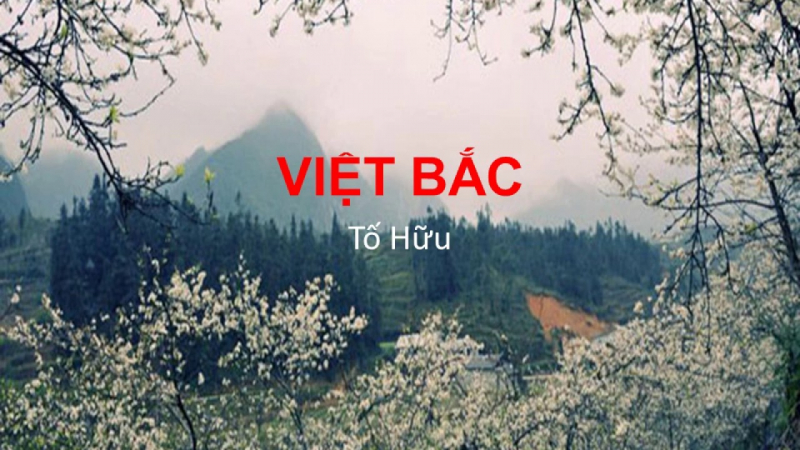 Ảnh minh họa (Nguồn internet)