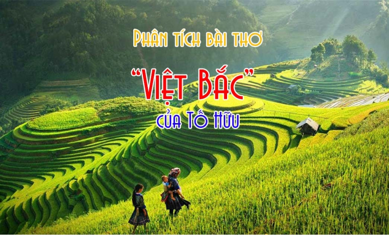 Ảnh minh họa (Nguồn internet)