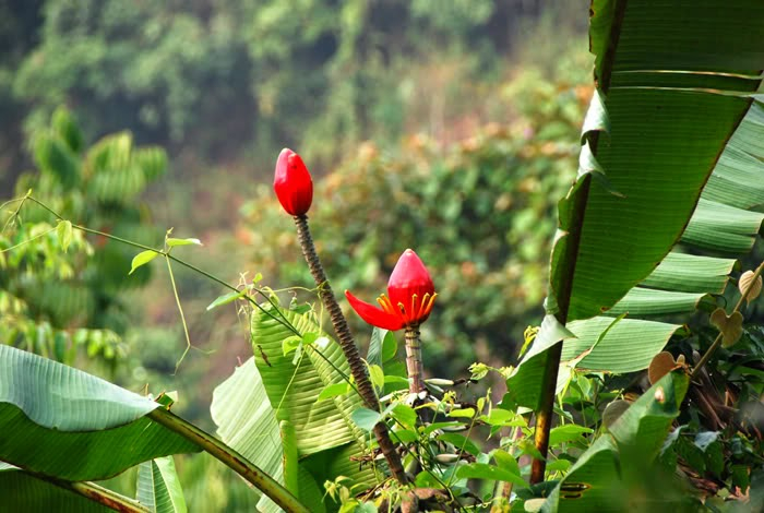 Ảnh minh họa (Nguồn internet)