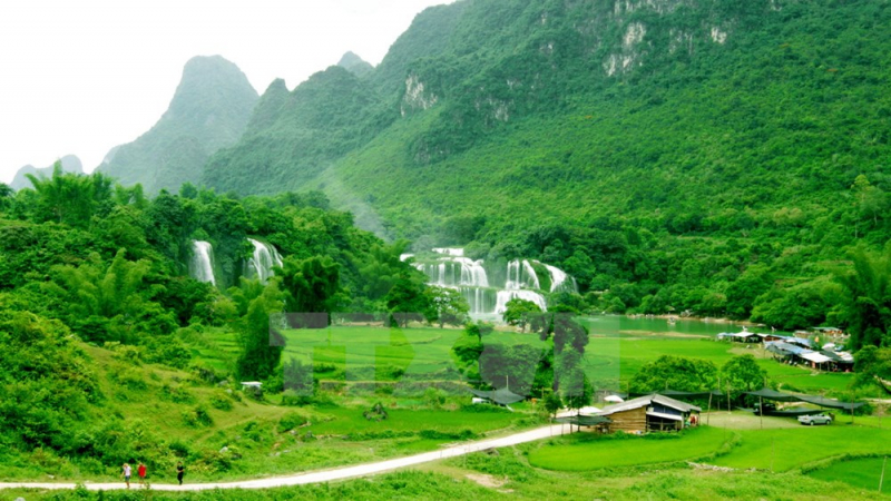 Ảnh minh họa (Nguồn internet)