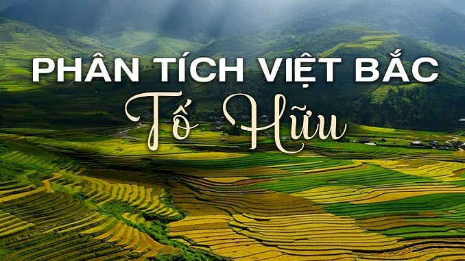 Ảnh minh họa (Nguồn internet)