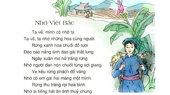 Ảnh minh họa (Nguồn internet)