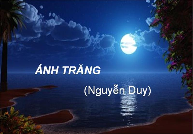 Ảnh minh họa (Nguồn internet)