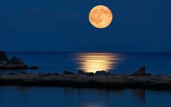 Ảnh minh họa (Nguồn internet)