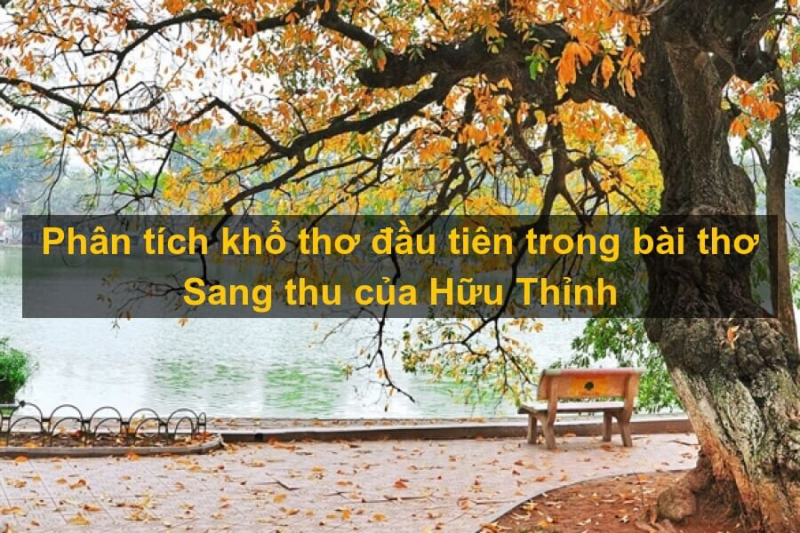 Ảnh minh họa (Nguồn internet)