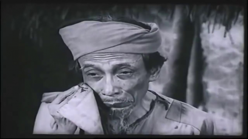 Ảnh minh họa (Nguồn internet)